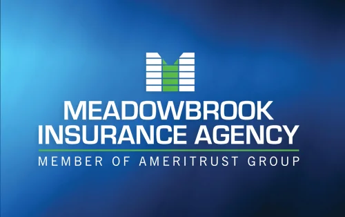 meadowbrook insurance agency image